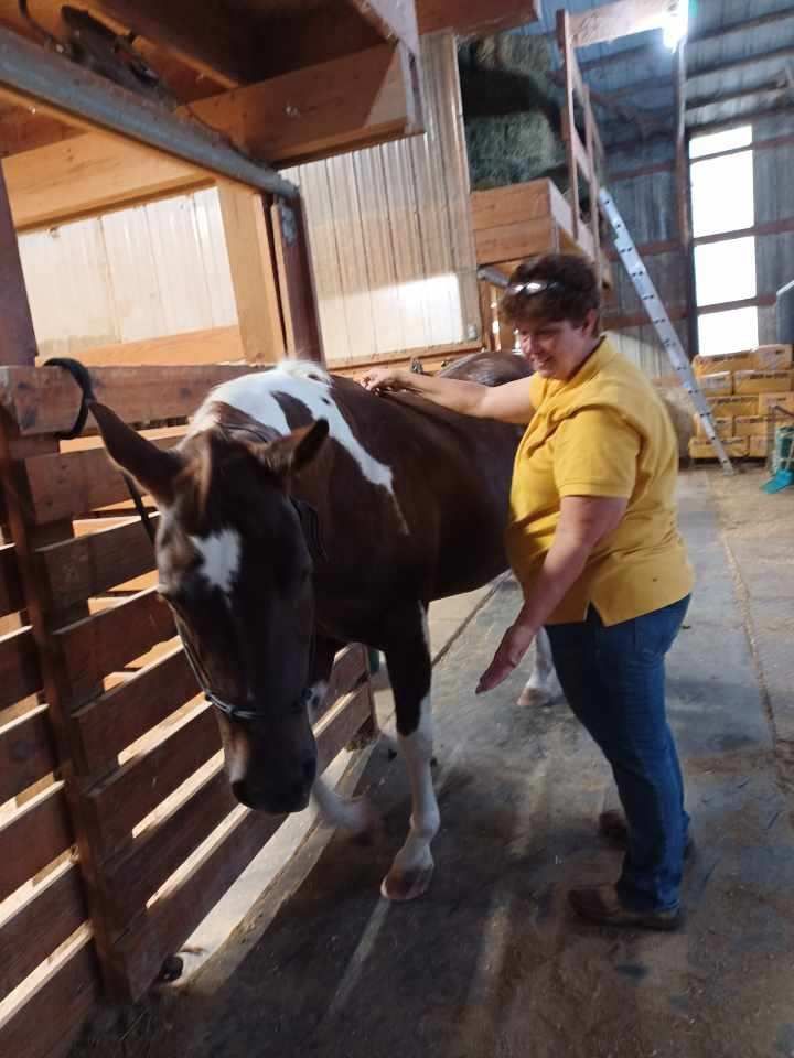 Karen working on a paint horse's shoulder in a barn stall